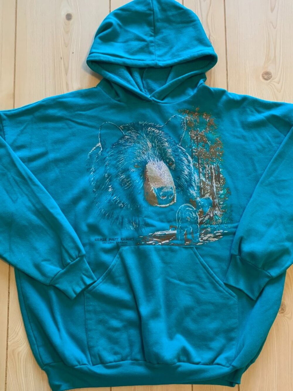 Vintage Jerico Ontario Canada Cedar Point Resort Grizzly Brown Bear Hoodie XL